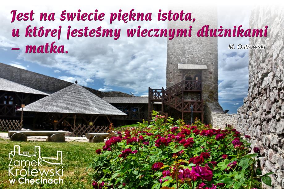 plakatdzienmatki